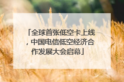 全球首张低空卡上线，中国电信低空经济合作发展大会启幕