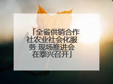 全省供销合作社农业社会化服务 现场推进会在泰兴召开