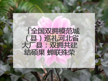 全国双拥模范城（县）巡礼河北省大厂县：双拥共建结硕果 蝉联殊荣谱新篇