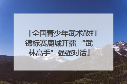 全国青少年武术散打锦标赛鹿城开擂 “武林高手”强强对话