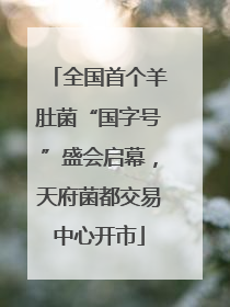 全国首个羊肚菌“国字号”盛会启幕，天府菌都交易中心开市