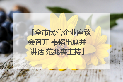 全市民营企业座谈会召开 韦韬出席并讲话 范兆森主持