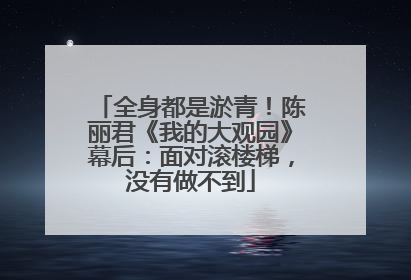 全身都是淤青！陈丽君《我的大观园》幕后：面对滚楼梯，没有做不到