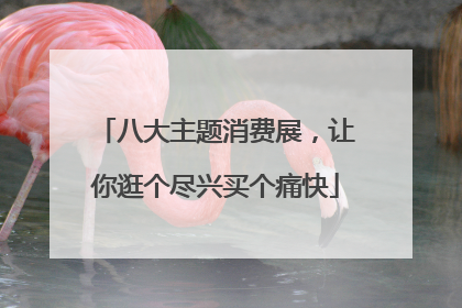 八大主题消费展，让你逛个尽兴买个痛快