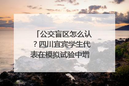 公交盲区怎么认？四川宜宾学生代表在模拟试验中增强乘车安全意识