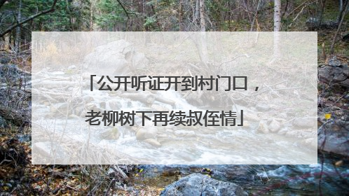 公开听证开到村门口，老柳树下再续叔侄情