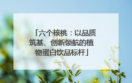 六个核桃：以品质筑基、创新领航的植物蛋白饮品标杆