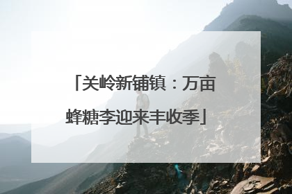关岭新铺镇：万亩蜂糖李迎来丰收季