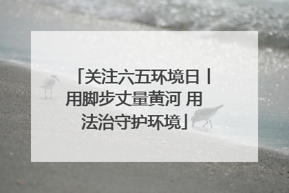 关注六五环境日丨用脚步丈量黄河 用法治守护环境