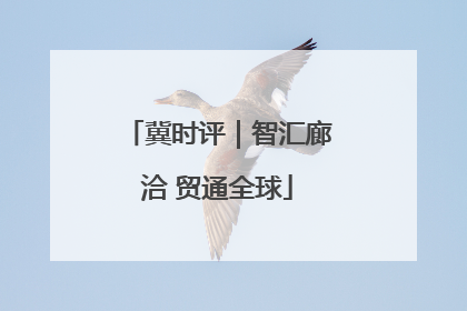 冀时评｜智汇廊洽 贸通全球