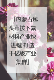 内蒙古包头市按下氟材料产业快进键 打造千亿级产业集群