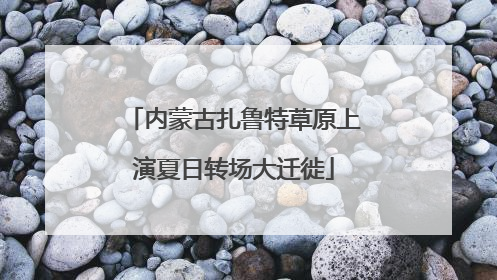 内蒙古扎鲁特草原上演夏日转场大迁徙