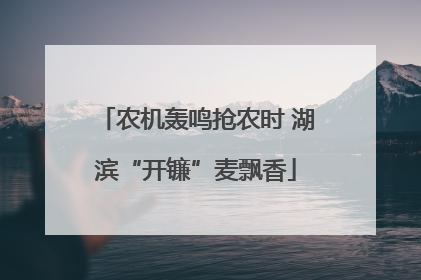 农机轰鸣抢农时 湖滨“开镰”麦飘香