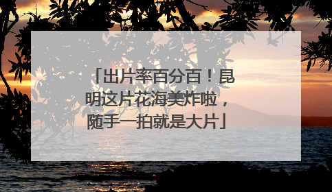 出片率百分百！昆明这片花海美炸啦，随手一拍就是大片