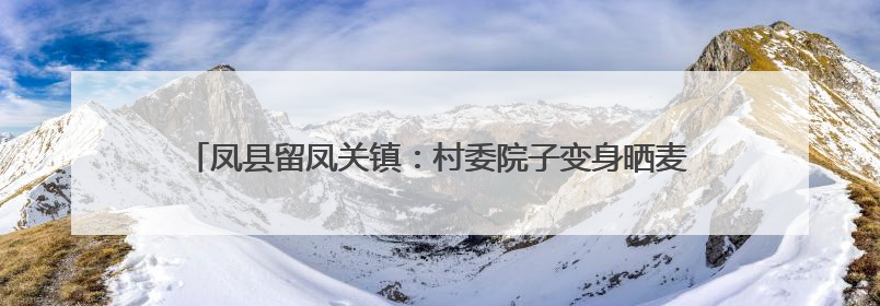 凤县留凤关镇：村委院子变身晒麦场 扎实推进“三夏”抢收工作