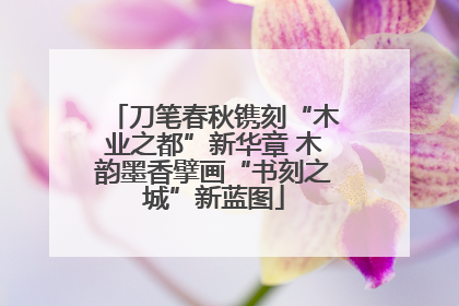 刀笔春秋镌刻“木业之都”新华章 木韵墨香擘画“书刻之城”新蓝图