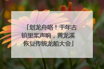 划龙舟咯！千年古镇里桨声响，黄龙溪恢复传统龙船大会