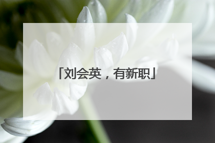 刘会英，有新职