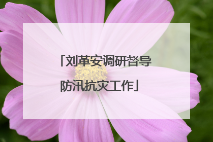 刘革安调研督导防汛抗灾工作