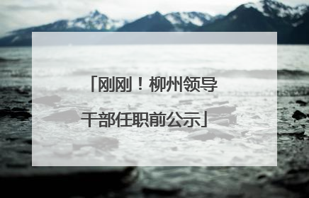 刚刚！柳州领导干部任职前公示
