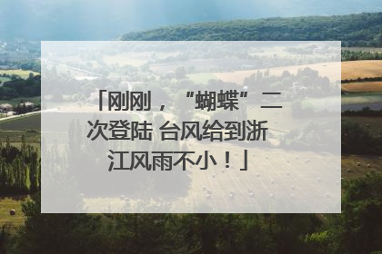刚刚，“蝴蝶”二次登陆 台风给到浙江风雨不小！