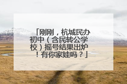 刚刚，杭城民办初中（含民转公学校）摇号结果出炉！有你家娃吗？