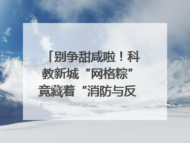 别争甜咸啦！科教新城“网格粽”竟藏着“消防与反诈秘籍”