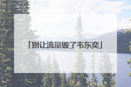 别让流量毁了韦东奕