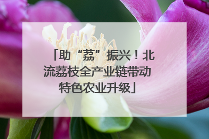 助“荔”振兴！北流荔枝全产业链带动特色农业升级