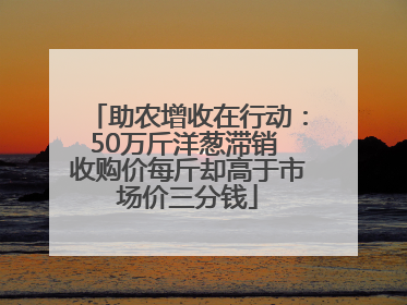 助农增收在行动：50万斤洋葱滞销 收购价每斤却高于市场价三分钱