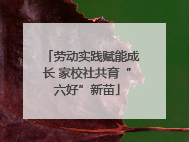 劳动实践赋能成长 家校社共育“六好”新苗