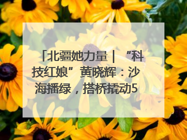 北疆她力量｜“科技红娘”黄晓辉：沙海播绿，搭桥撬动5.3亿研发