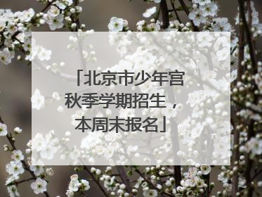 北京市少年宫秋季学期招生，本周末报名