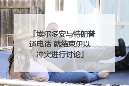 埃尔多安与特朗普通电话 就结束伊以冲突进行讨论