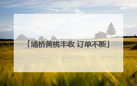 埇桥黄桃丰收 订单不断