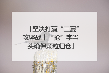 坚决打赢“三夏”攻坚战丨“抢”字当头确保颗粒归仓
