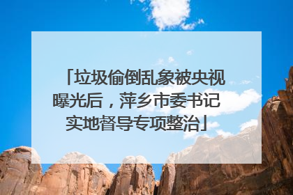 垃圾偷倒乱象被央视曝光后，萍乡市委书记实地督导专项整治