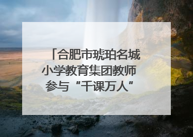 合肥市琥珀名城小学教育集团教师参与“千课万人”数学论坛活动
