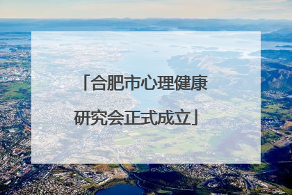 合肥市心理健康研究会正式成立