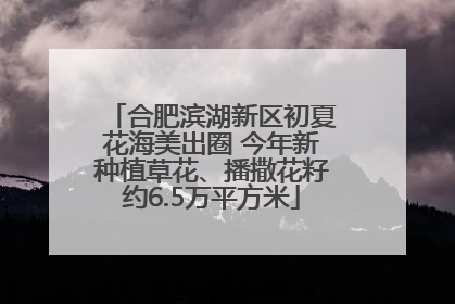合肥滨湖新区初夏花海美出圈 今年新种植草花、播撒花籽约6.5万平方米