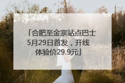 合肥至金寨站点巴士5月29日首发，开线体验价29.9元