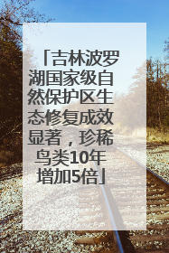 吉林波罗湖国家级自然保护区生态修复成效显著，珍稀鸟类10年增加5倍
