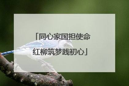 同心家国担使命 红柳筑梦践初心
