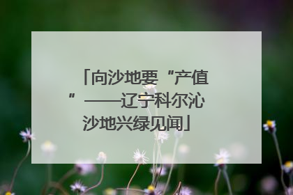 向沙地要“产值”——辽宁科尔沁沙地兴绿见闻