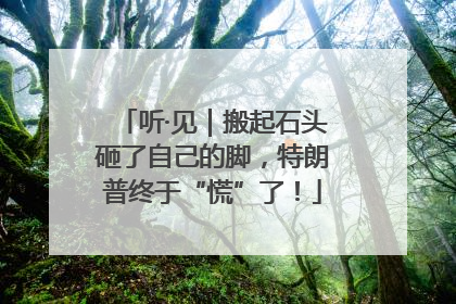 听·见｜搬起石头砸了自己的脚，特朗普终于“慌”了！