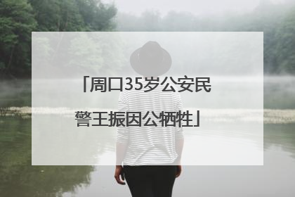 周口35岁公安民警王振因公牺牲
