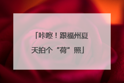 咔嚓！跟福州夏天拍个“荷”照