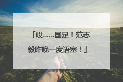 哎……国足！范志毅昨晚一度语塞！