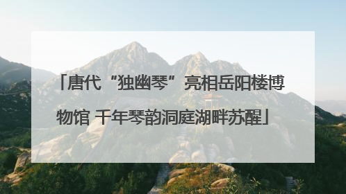 唐代“独幽琴”亮相岳阳楼博物馆 千年琴韵洞庭湖畔苏醒