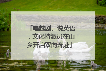 唱越剧、说英语，文化特派员在山乡开启双向奔赴